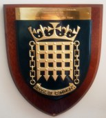 Parliamentary Awards Shield